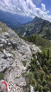 Foto von Mountain Cat ? ⛰️ entlang der Tour