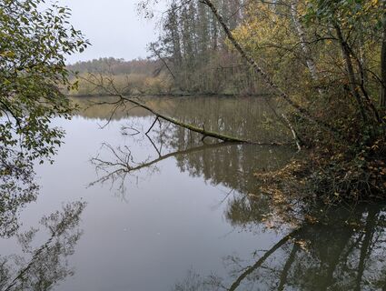 Foto de Matje Derks a lo largo del recorrido