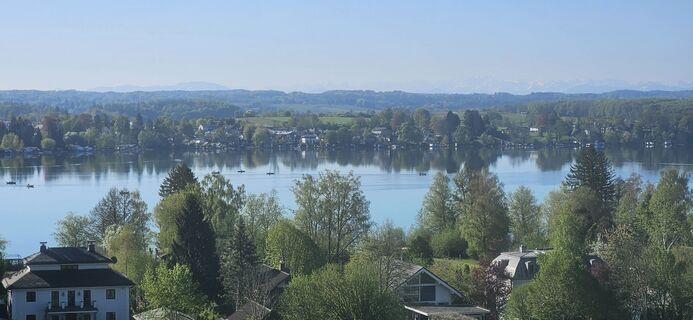 Photo de garrincha le long du parcours