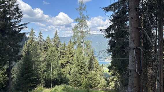 Foto von Peter Dirlinger entlang der Tour