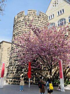 Sterntor