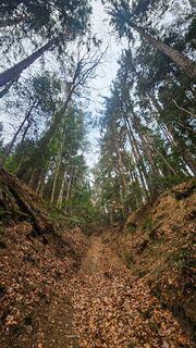 Foto von Soma Gyimesi entlang der Tour