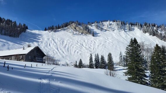 Foto de Daniela Überreich a lo largo del recorrido