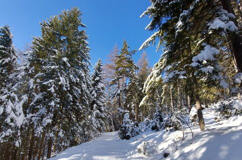 Patscha Winterwanderung_Weiz_Oststeiermark 