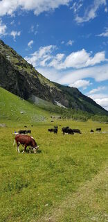 Foto de Anselmo Mazzolini a lo largo del recorrido
