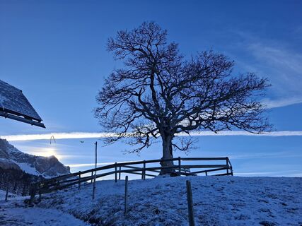 Foto von Maurer Silvia entlang der Tour