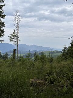 Foto von Babs Holz entlang der Tour