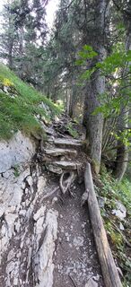 Foto från Ute Junker under resans gång