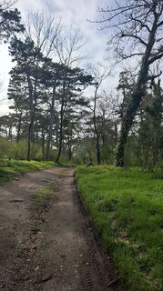 Foto von Ireneusz Bachara entlang der Tour