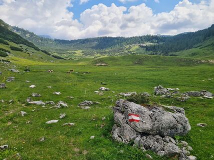 Foto von uhu321 entlang der Tour