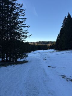 Fotografia z Theresa Marte na trase