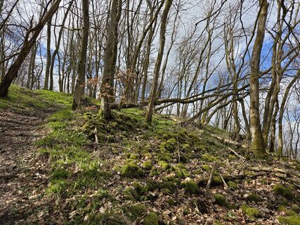 Foto von Christiane Schütz entlang der Tour