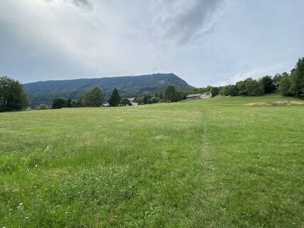 Foto de REK a lo largo del recorrido