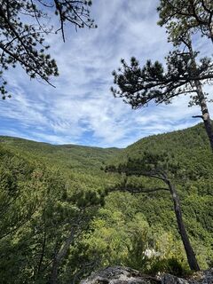 Fotografia z RS76 na trase