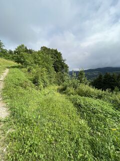 Foto von Marie Kresnik entlang der Tour