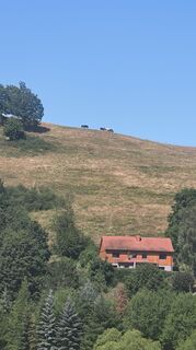 Photo de Sauerpurzel le long du parcours