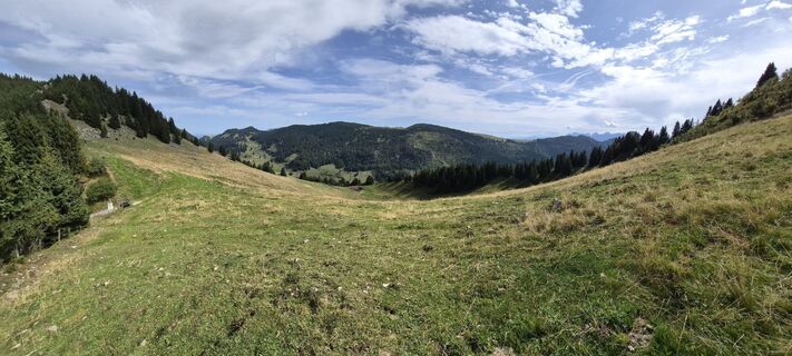 Fotografija s spletne strani Wollomator na poti