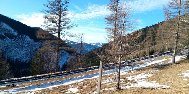 Puchberg am Schneeberg, Niederösterreich/Österreich