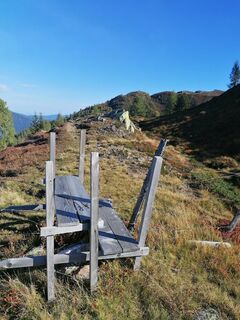 Photo de Dagmar Hofer le long du parcours
