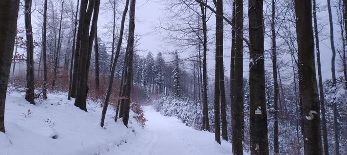 Photo de Sylwiasuchy76 le long du parcours