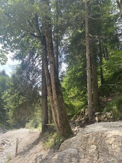 Fotografia z Corina Manuela Motisan na trase