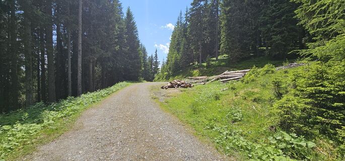 Photo de Michael Ganswind le long du parcours