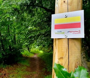 Große Wanderung durch das Land Erckmann Chatrian