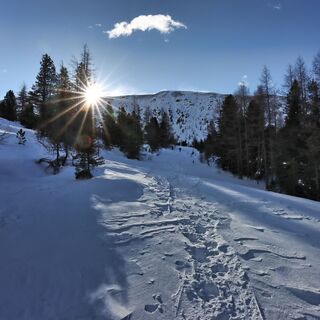 Sonnenaufgang bei der Saureggalm