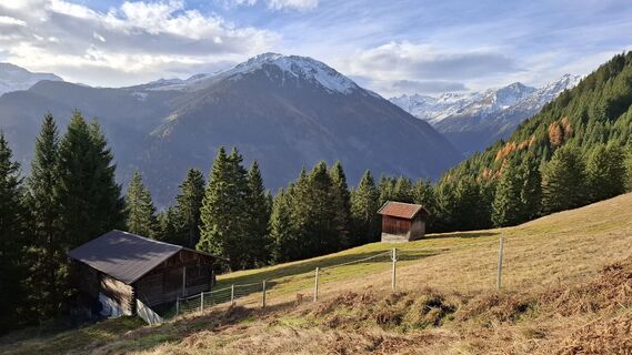 Fotografija s spletne strani fuzzy68 na poti