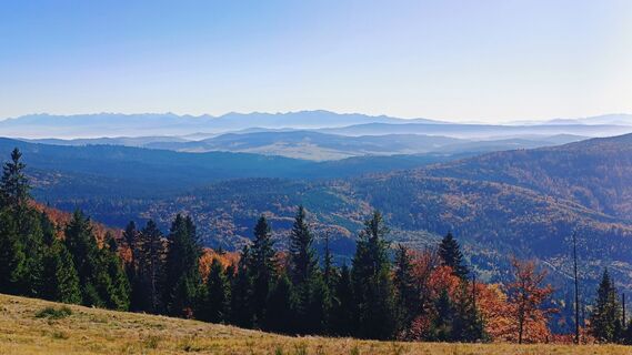 Zdjęcie z Romek Dwornik wzdłuż trasy