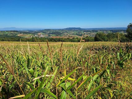 Fotó a Dietmar H. honlapról a túra során