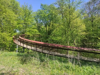 Foto de Làszló Visi a lo largo del recorrido