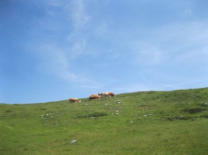 Dobratsch