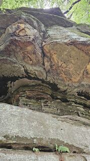 Fotografia z Rosmarie Ball na trase