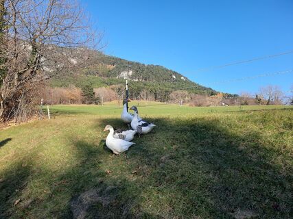 Foto von Artemis83 entlang der Tour