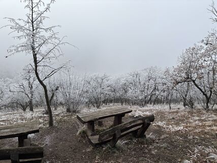 Fotó a Simek György honlapról a túra során