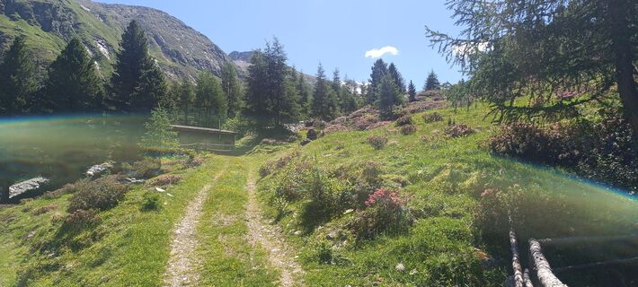 Foto von Rene Grabner 2 entlang der Tour