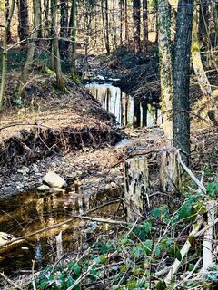 Fotografia z Kellner Heidi na trase
