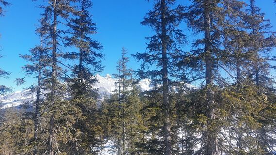 Fotografija s spletne strani Karin Svozil na poti