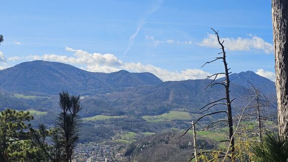 Photo de Alexandra Stani le long du parcours