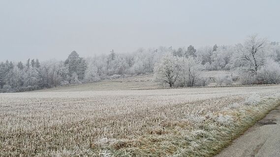 Zdjęcie z George50 wzdłuż trasy