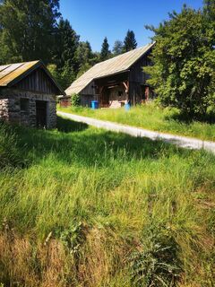 Foto von Waldläufer entlang der Tour