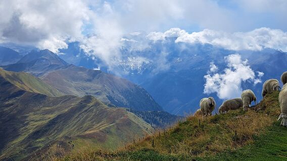 Foto von Gerhard Faugel entlang der Tour