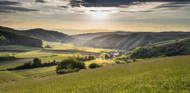 Kaiserstuhl Impressionen