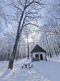 Foto de Katona Ferk Mariann a lo largo del recorrido