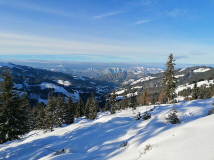 Wildschönau Breitegg Niederleger Aussicht.jpg