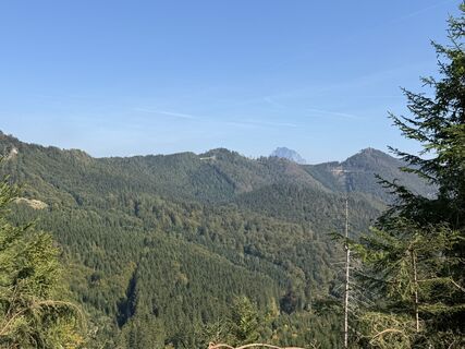 Fotografija s spletne strani Babs Holz na poti