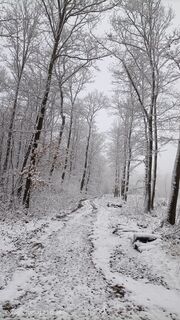 Foto de Katalin Molnár a lo largo del recorrido