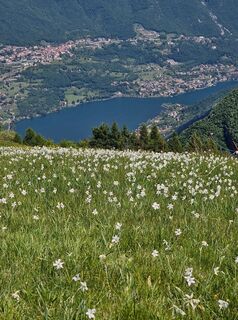 Zdjęcie z Cristian Mario Rota wzdłuż trasy