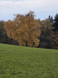 Fotografija s spletne strani Harald Kriebel na poti